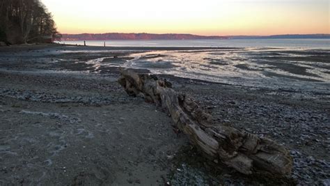 Dumas Bay Wildlife Sanctuary sunrise at Puget Sound beach