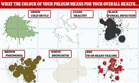 what does the color of phlegm mean - healthsites in 2020 health chart getting rid of mucus mucus ...