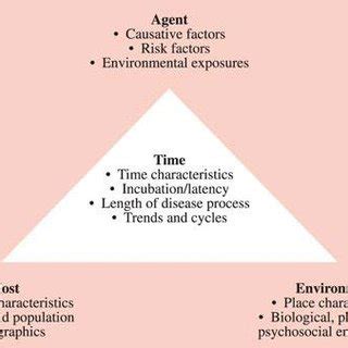 Components of Epidemiology Triangle - TommymcyRoberts