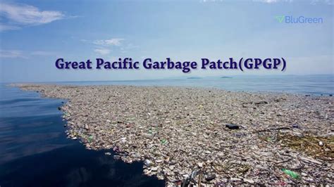 Great Pacific Garbage Patch From Space | Hot Sex Picture