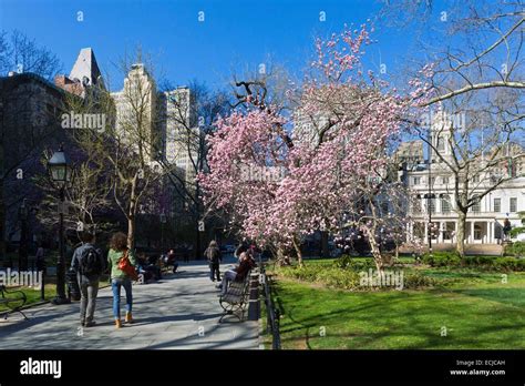 USA, New York, Manhattan, City Hall Park Stock Photo - Alamy