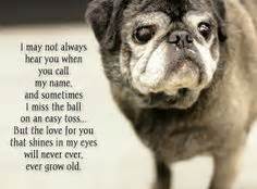 Pug Love Quotes. QuotesGram