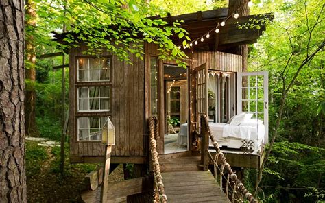 Photos of Popular Tree House Airbnb in Atlanta | Reader's Digest