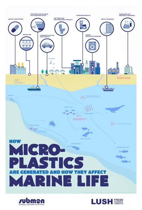 Microplastics 2025 - Natka Vitoria