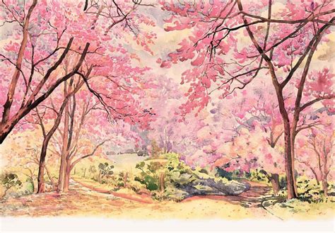 Hand Painted Watercolor Spring Flower Tree Photography Backdrop J-0808 – Shopbackdrop