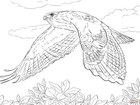 Flying Hawk Drawing at GetDrawings | Free download