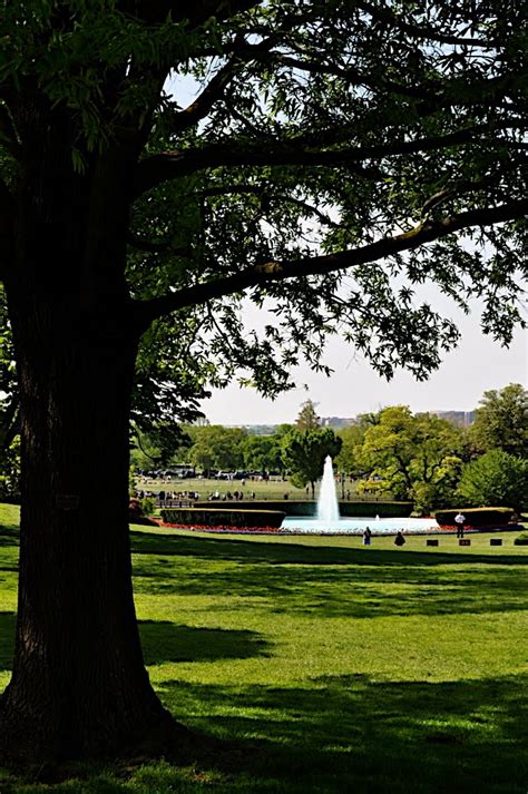 Two DC: The White House Garden and Grounds