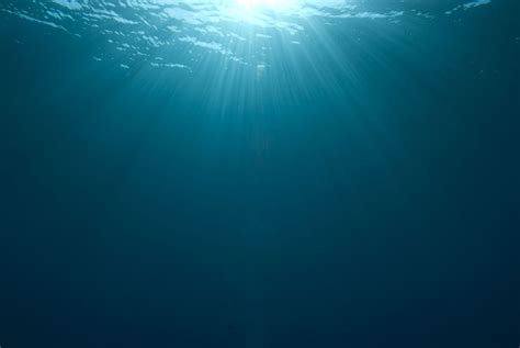 Image result for sunlight filtering ocean depths