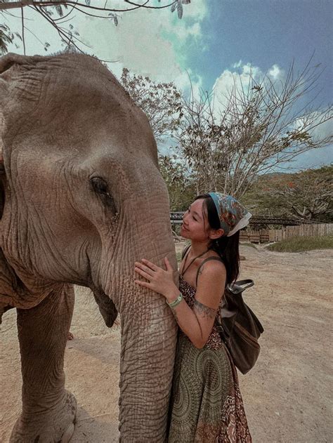 Elephant sanctuary in Koh Samui | Thailand urlaub, Urlaub, Foto ideen instagram