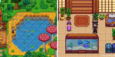 How To Use Fish Tanks In Stardew Valley