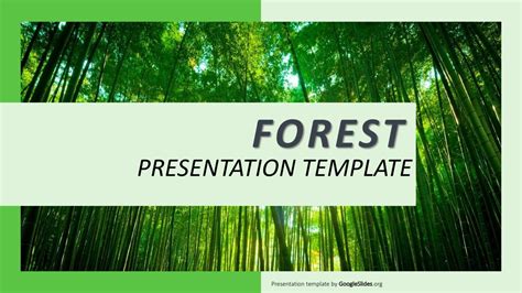 Forest Google Slide · Animal and Wildlife, Nature · Google Slides