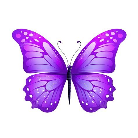 Purple Butterfly Cute, Purple, Butterfly, Violet PNG Transparent Image and Clipart for Free Download