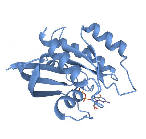 Protein Tertiary Structure Radixin Protein Structure Gene Png Clipart | My XXX Hot Girl