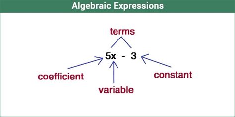 Algebraic Expressions Types of Algebraic expression Polynomial BYJU'S