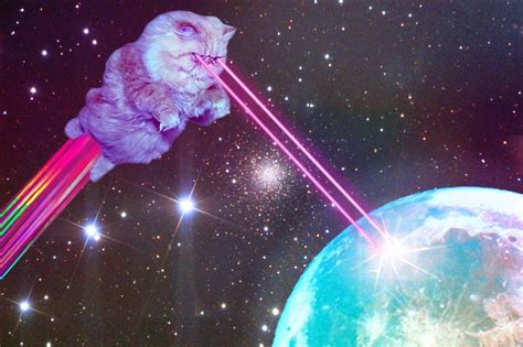 Space Cat Wallpapers - Wallpaper Cave