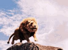 Animated Lion Roaring Gif