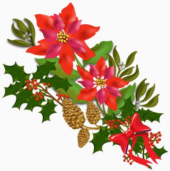 Free Christmas Flower Png, Download Free Christmas Flower Png png images, Free ClipArts on ...