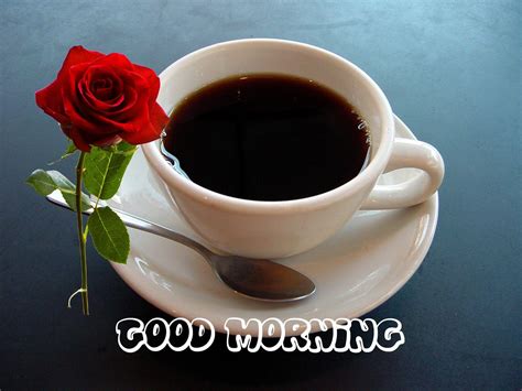 Good Morning Rose Wallpapers - Wallpaper Cave