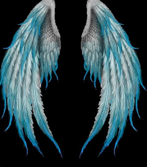 Angel Wings By Pikoto On Deviantart Wings Drawing Angel Wings | Images and Photos finder