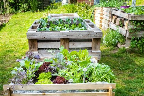 Pallet Raised Garden Bed - Build it Yourself! - MyGardenLife