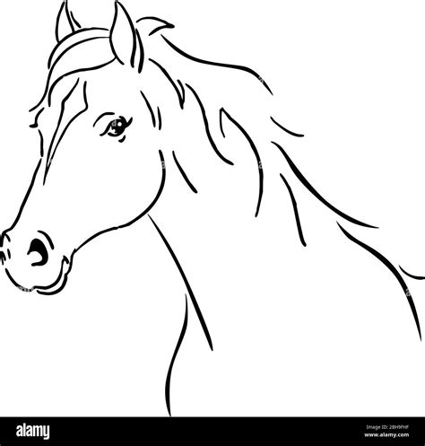 Incredible Compilation of Full 4K Horse Drawing Images: Over 999+ Exceptional Horse Drawing Images