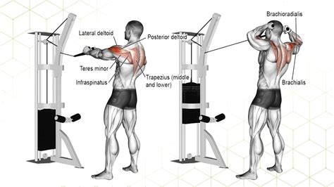 8 Best Cable Rear Delt Exercises – Fitness Volt