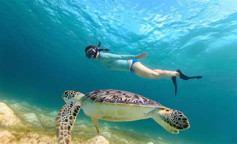 Snorkeling Tours In Huatulco Mexico | Besttravels.org