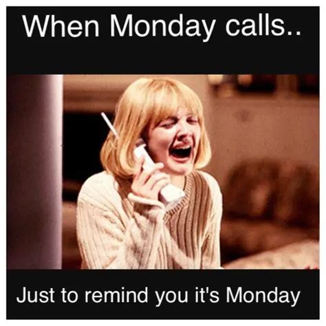 67+ Monday Memes: Be Ready To Fall About Laughing - BayArt