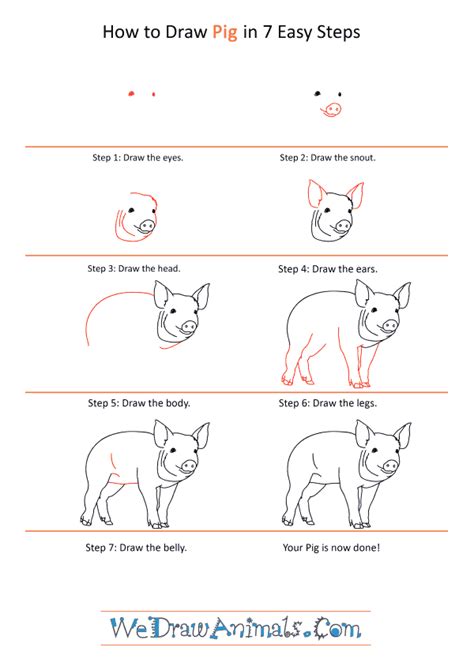 How to Draw a Realistic Pig