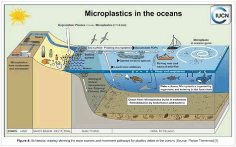 pollution-and-effects-World-plastics-production