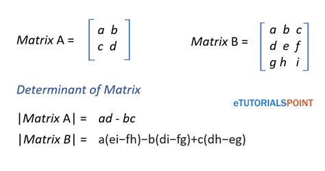 Determinant of a matrix in Python