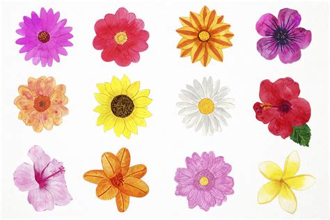 Watercolor Spring Flowers Clipart, Spring Flowers Clip Art By Paulaparaula | TheHungryJPEG