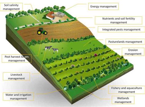 Sustainable Agriculture: Mixed cropping, Crop rotation, Mixed Farming - PMF IAS