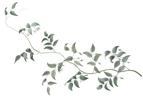 DUMBO Vine Flower Plant stem Tree - vines png download - 1200*817 - Free Transparent Dumbo png ...