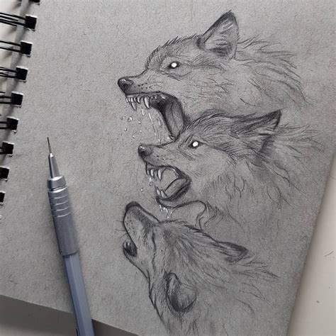 wolf pack : drawing