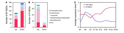 | Function annotation of differentially expressed genes. (A,B) Function... | Download Scientific ...