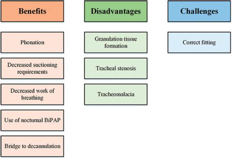 Fenestrated Tracheostomy Tube