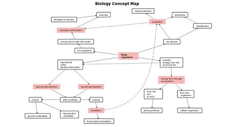 Biology Concept Map Template | EdrawMind