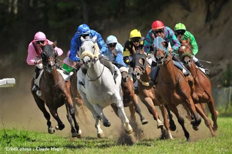 horse, Racing, Race, Equestrian, Sport, Jockey, Horses Wallpapers HD / Desktop and Mobile ...