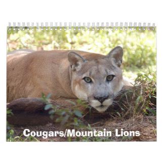 Lion Calendars | Zazzle