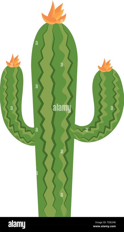 desert cactus cartoon vector illustration graphic design Stock Vector Image & Art - Alamy