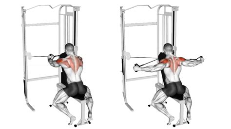 How To Do Seated Rear Delt Fly Properly