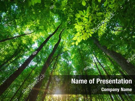 Details into the forest PowerPoint Template - Details into the forest PowerPoint Background