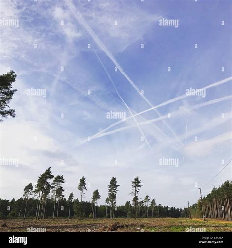 Plane trails in sky Stock Photo - Alamy