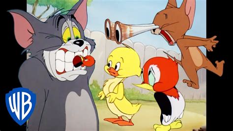 Top 999+ tom and jerry cartoon images – Amazing Collection tom and jerry cartoon images Full 4K