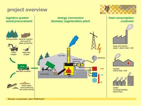 Optimization of biomass-fired plants - www.eta-energieberatung.de Erneuerbare