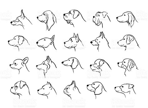 Dog Side Profile Drawing