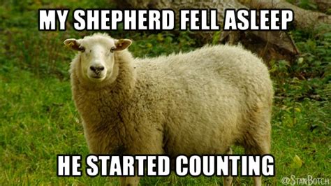 23 Funny Sheep Memes, Botch