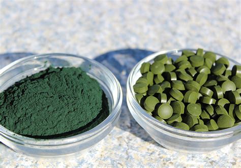 Benefits of Spirulina and Chlorella, Which One Should You Take?