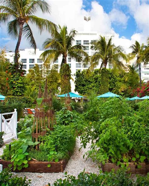 The Palms Hotel & Spa, Miami Beach, Florida, United States - Hotel Review - Condé Nast Traveler